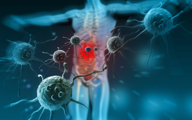 diseño sin título (18)